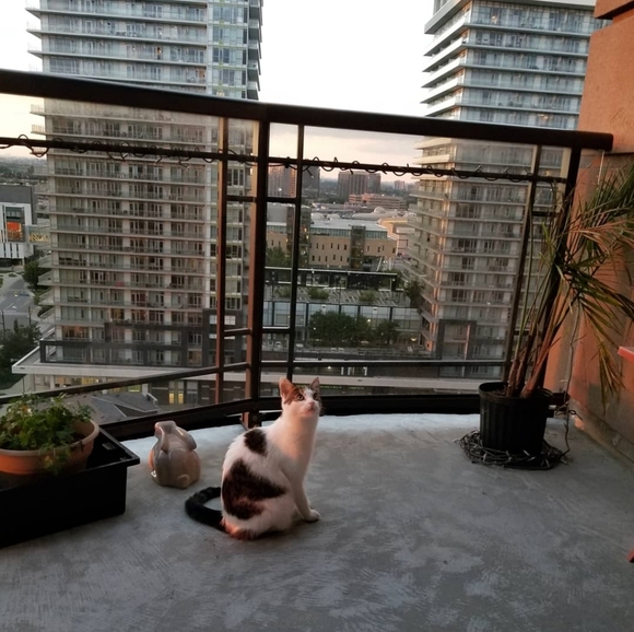 Meet your Posher, Sarah - Picture 2 of 6